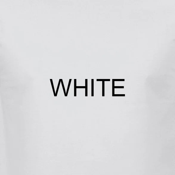 Santa Monica Airlines Skateboards Retro Aircraft Airplane Skate T Shirt Design